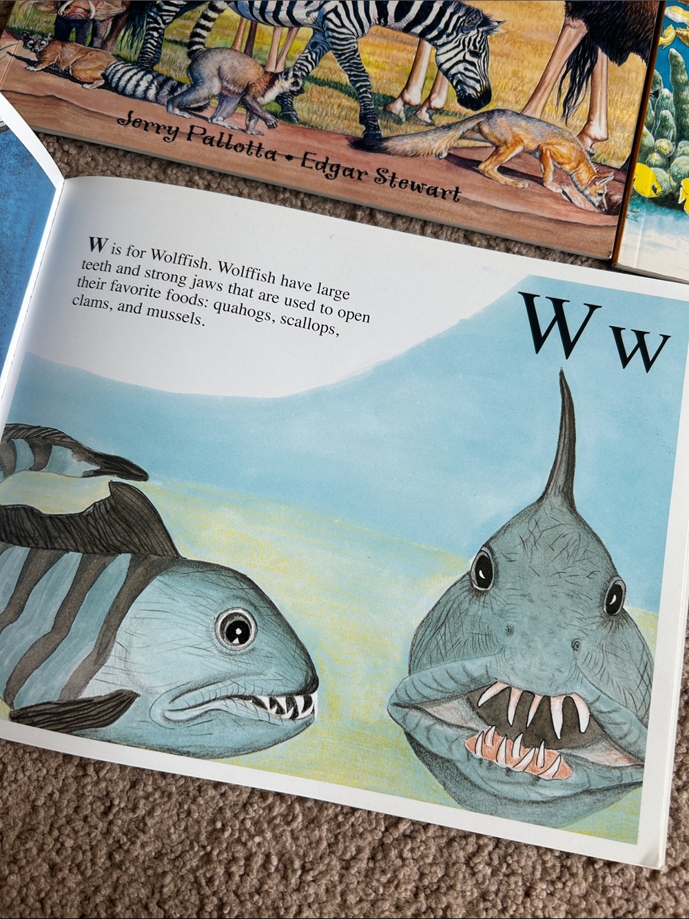 Alphabet Book Collection - Picture 2 of 8
